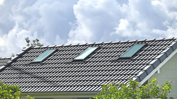 Roof Lights for Pitched Roofs: Enhance Natural Light Style and Energy Efficiency